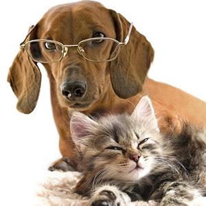 犬猫常见传染病抗体及抗原检测