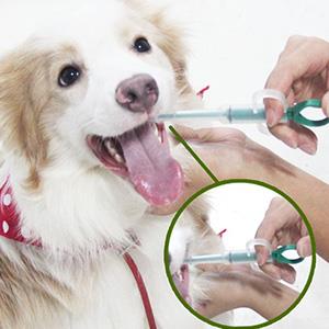 犬猫人畜共患病及寄生虫检测